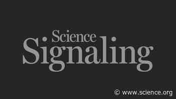 Defining STING activity | Science Signaling