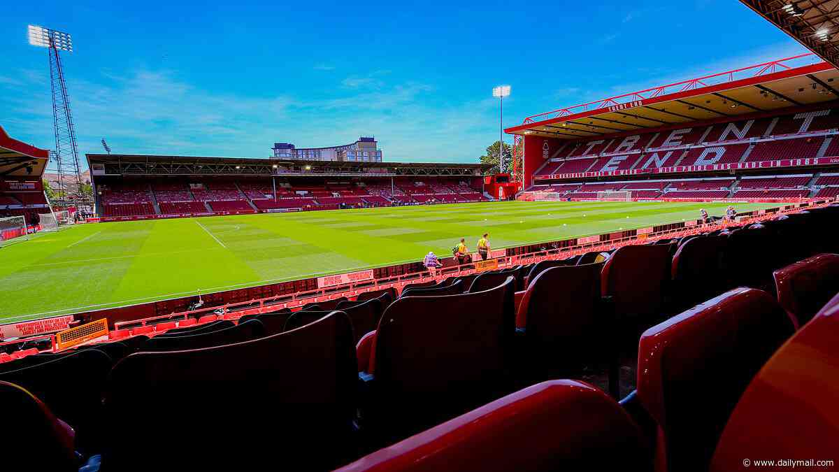 Nottingham Forest close in on signings of prolific teenage twins born on Stockholm council estate
