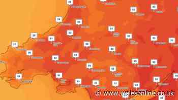 Met Office verdict on further heatwaves for Wales as temperatures surge
