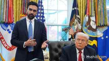 Trump says Mamdani's pied-à-terre tax for million dollar homes a 'dangerous political experiment'