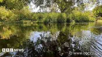 Thames Water 'flagship' chalk stream rated as poor