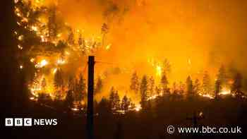 'That fire came so fast': Wildfire rages in British Columbia