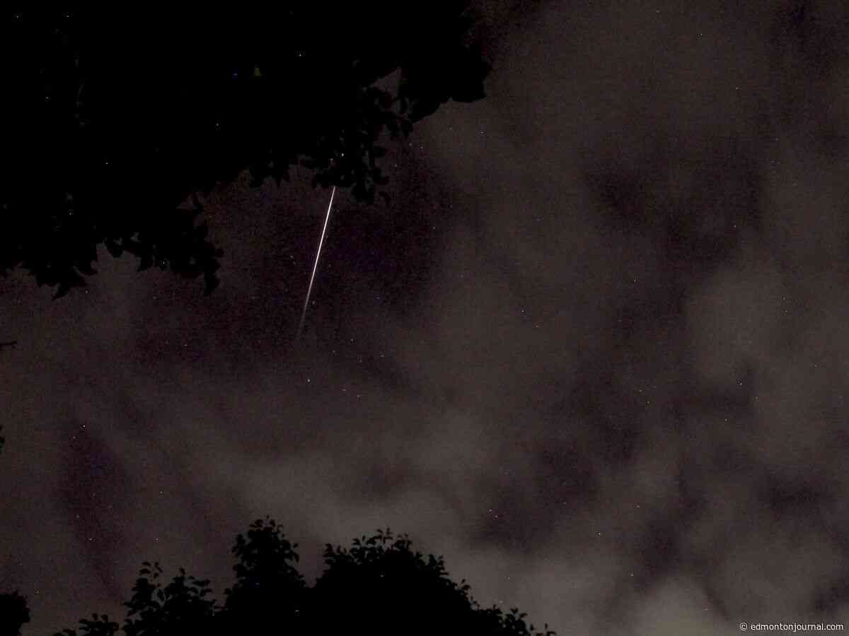 Perseid meter shower at its peak: How to watch it in Edmonton