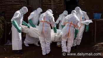 Travel warning upgraded to highest level amid thousands of deaths in Ebola outbreak... 'avoid all travel'