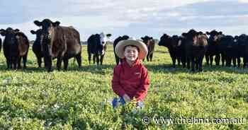 Meet the pint-sized budding agent giving cattle buyers a run for their money