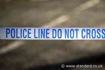 Witness appeal after attempted sexual assault on south London train