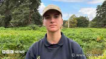 Work at National Trust site to prevent flooding