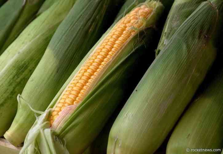 Corn Ticking Higher on Monday Morning
