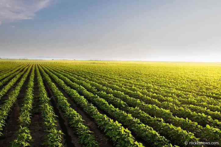 Soybeans Pushing Higher to Begin the Week