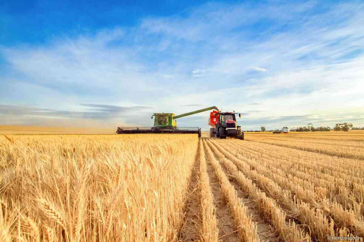 Wheat Posting Monday Morning Strength