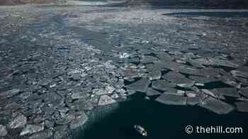 NOAA pulls support from Arctic climate report