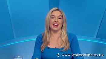 BBC Only Connect contestant addresses backlash as viewers brand episode ‘worst ever’