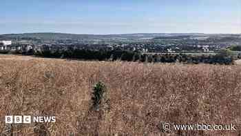 Plans for 900 homes to be built on green belt land