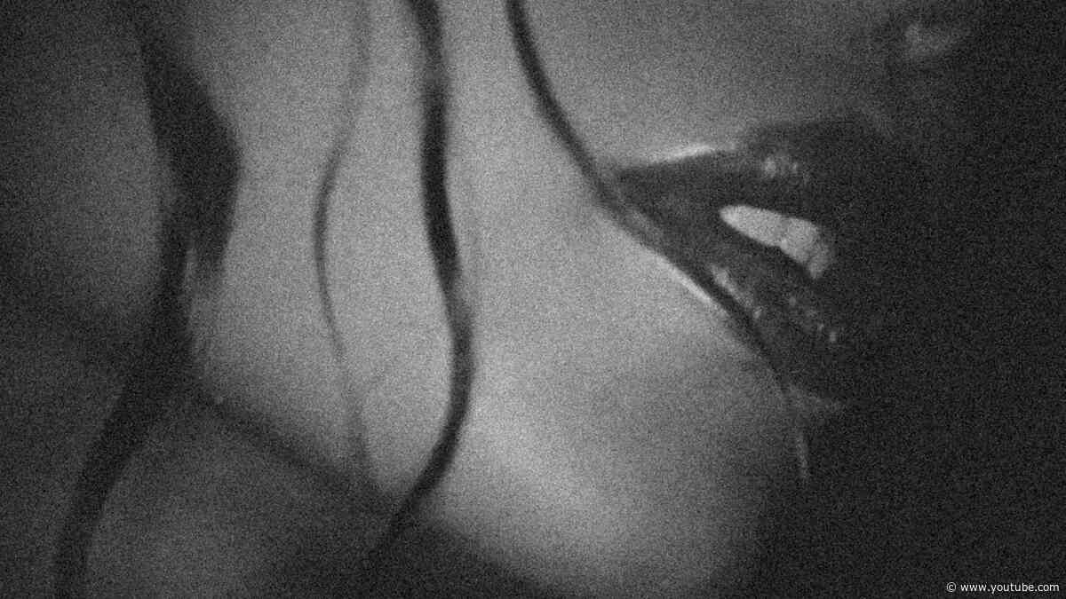 MORNING DEW (DONK) REMIX FEATURING JAŸ-Z (CLEAN)