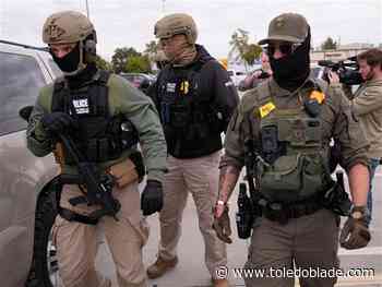 5 sentenced for illegal re-entry