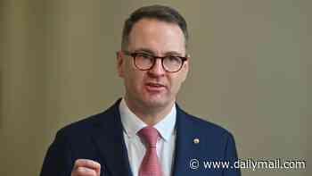 Coalition promises to drastically cut net overseas migration and housing construction code