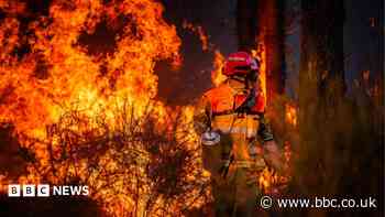 Hundreds arrested over French wildfires, but who is to blame?