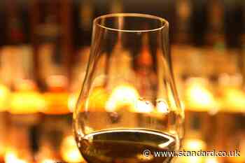 Scientists discover source of ‘mango-like’ tropical taste in whisky