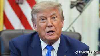 Trump on declaring national security emergency for elections: 'Stranger things have happened'
