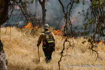 Two new wildland fires confirmed in Sudbury area