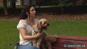 Dog walk through downtown Edmonton park turns into vet visit for suspected opioid poisoning