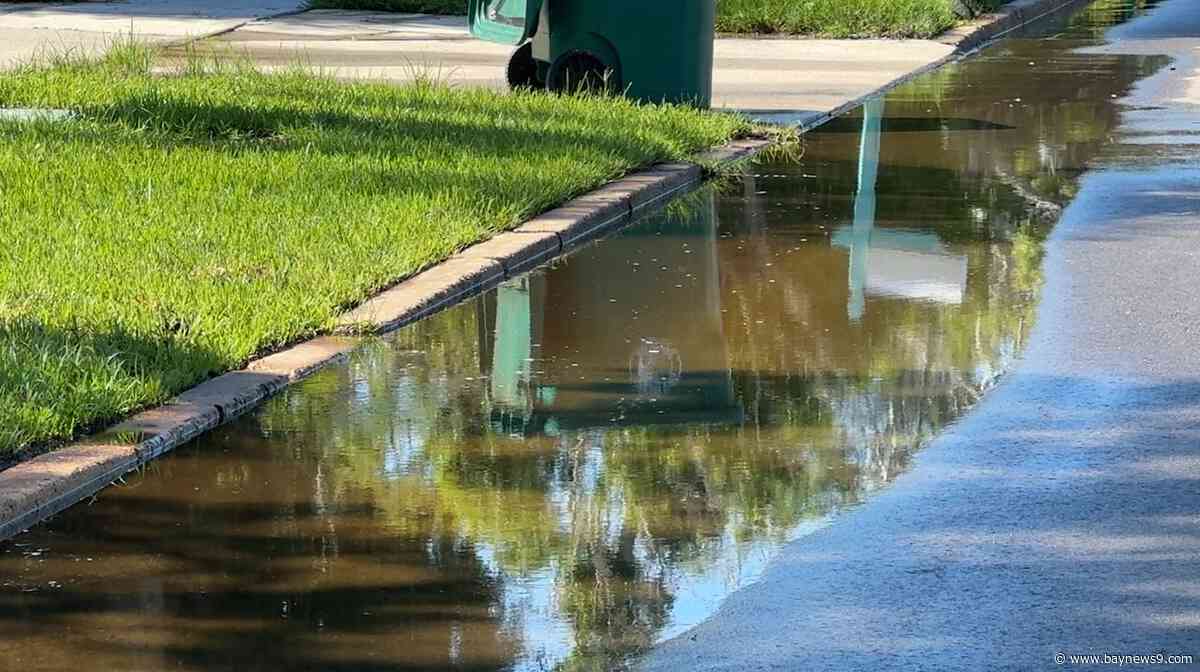 Palmetto creates adaptation plan to mitigate future flooding within the city