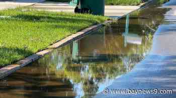 Palmetto creates adaptation plan to mitigate future flooding within the city