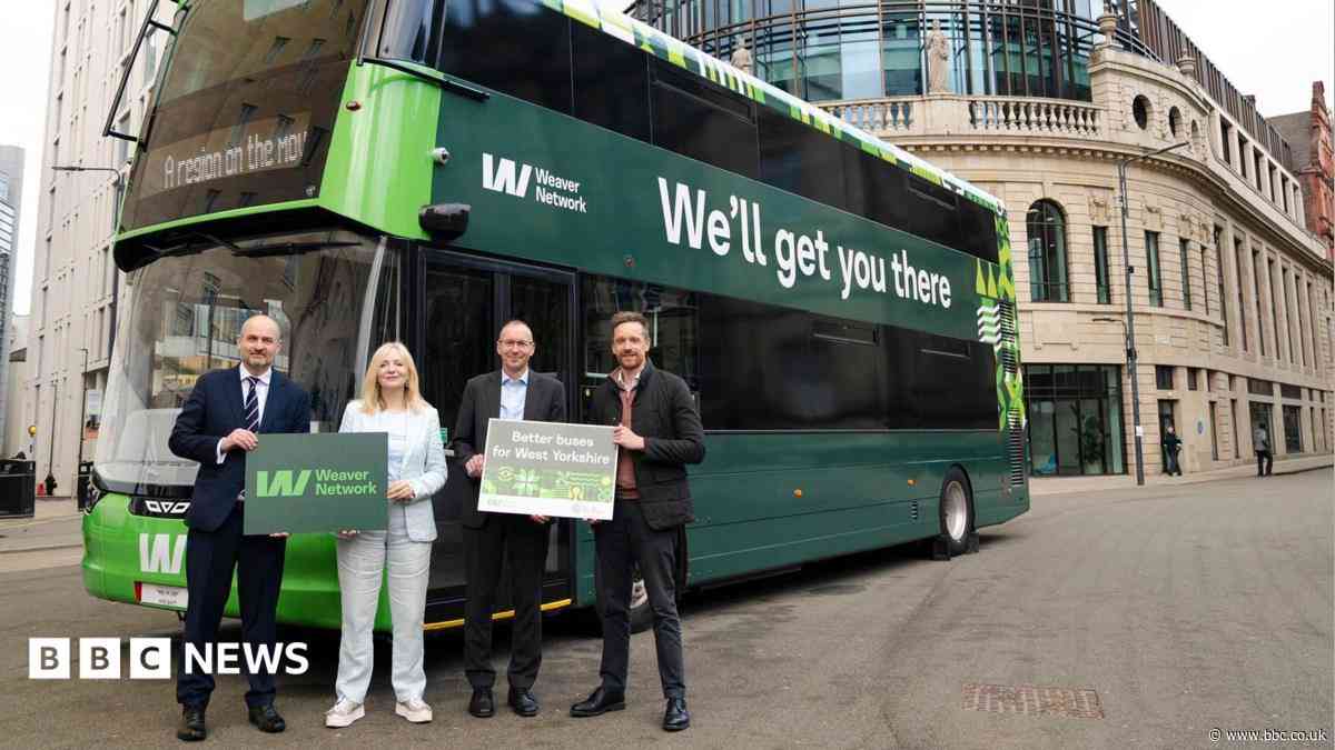 Electric bus fleet could include up to 48 diesels