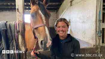 Plea to drivers to slow down when passing horses