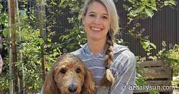 Ask The Vet: How to help dogs who are scared of thunderstorms