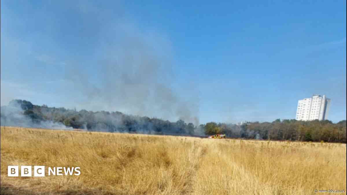 Homes evacuated as fires rage across cities