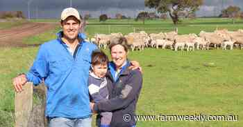 How these farmers used an 8000-head feedlot to scale their sheep operation