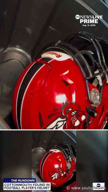 Snake found in football player's helmet