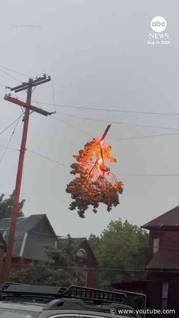 Tree branch catches fire on power line in Ohio