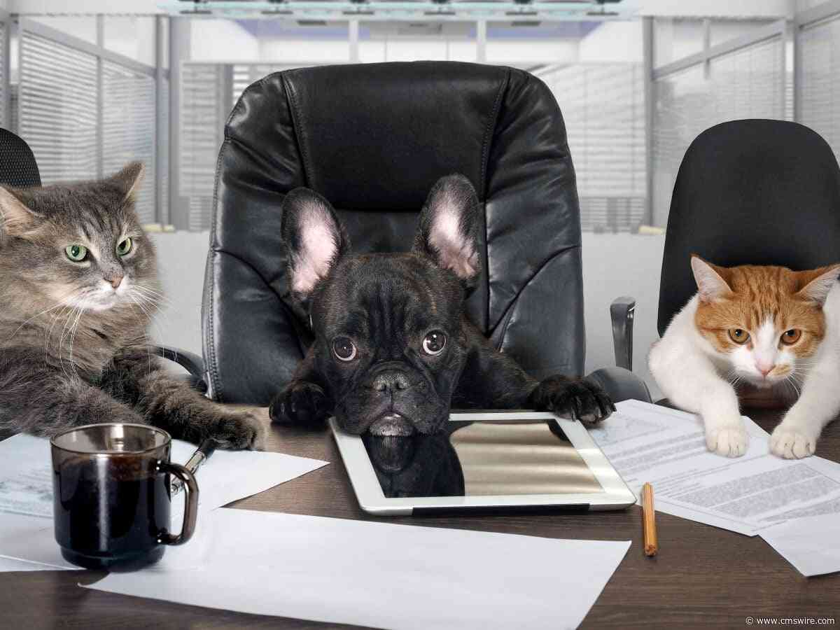 What Actual CFOs Say They Need from Customer Experience Leadership
