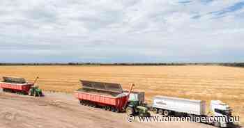 Black Sea disruption continues, so why aren't wheat prices skyrocketing?