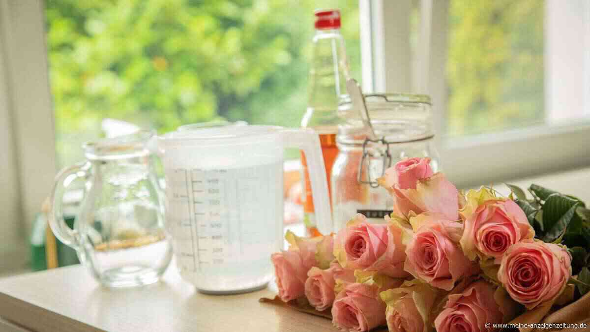 Zucker und Essig ins Blumenwasser - was bringt das?