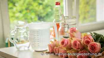 Zucker und Essig ins Blumenwasser - was bringt das?