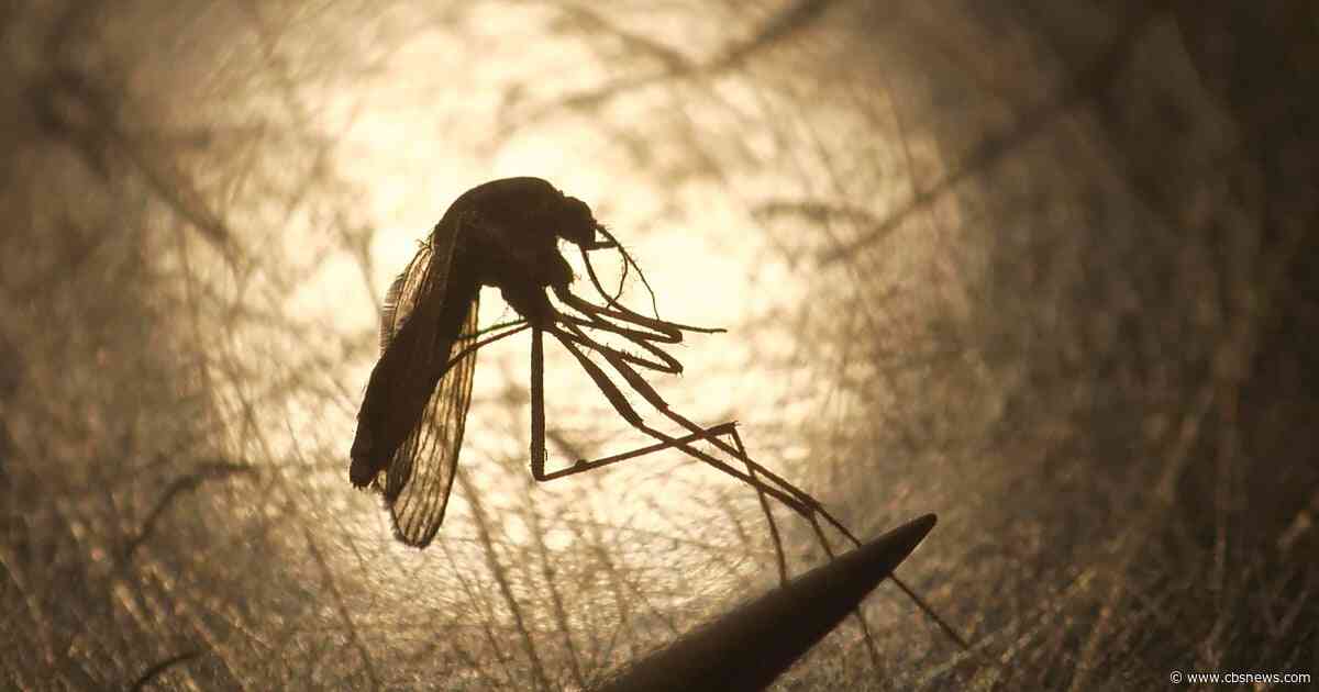 Old National Park closes after mosquitoes test positive for West Nile virus, Fulton health officials say