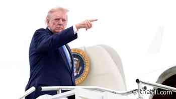 Trump on undisclosed plan to use decoy plane: ‘It’s up to Secret Service and military’