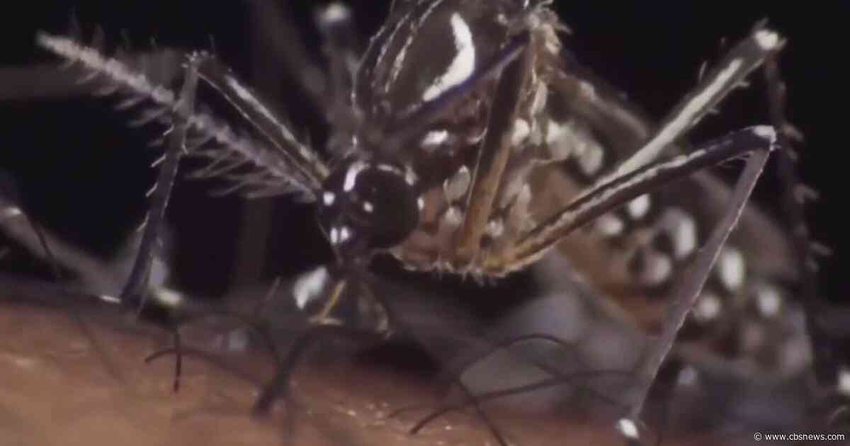 Georgia News: Old National Park to close after mosquitoes test positive for West Nile