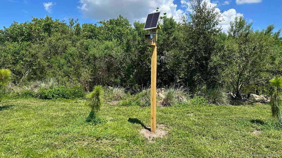 USF flood monitoring camera installed at Clam Bayou