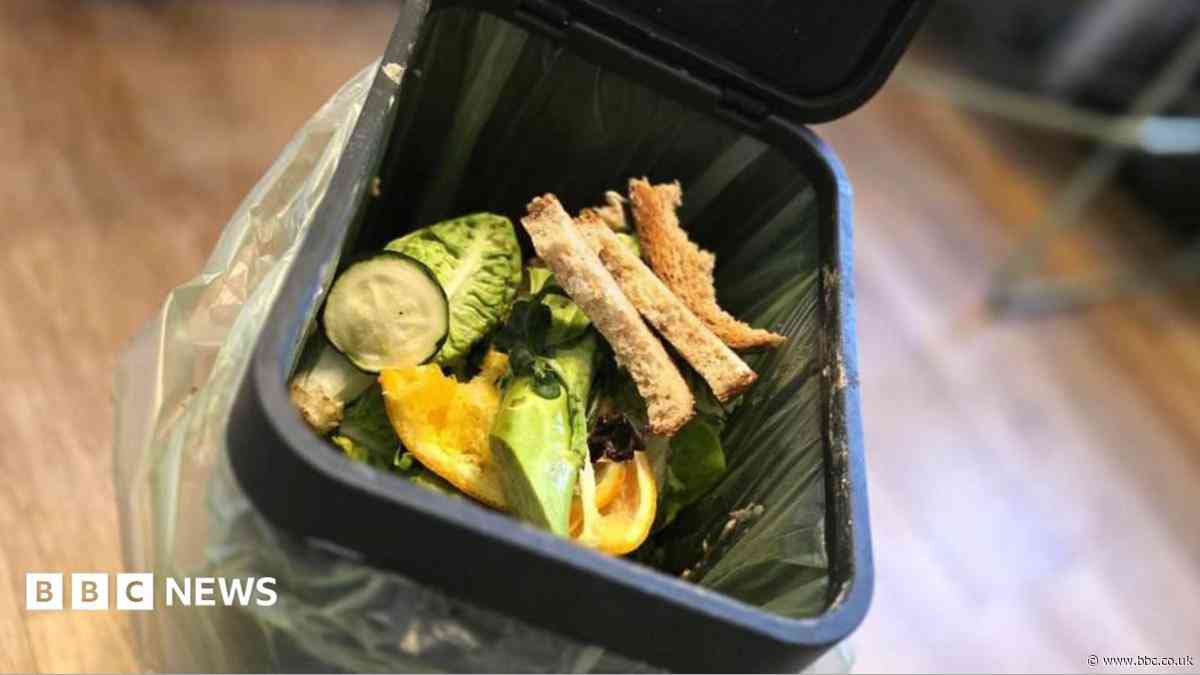 Council apologises for food waste bin errors
