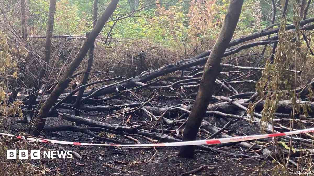 Nature reserve plagued by fires and fly-tipping