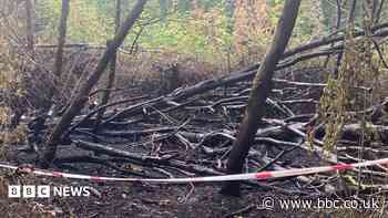 Nature reserve plagued by fires and fly-tipping