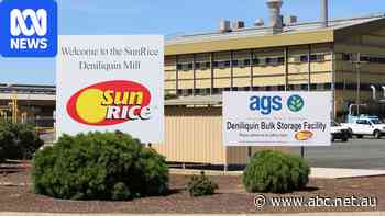 Commonwealth water policy blamed for loss of 78 jobs at rice giant