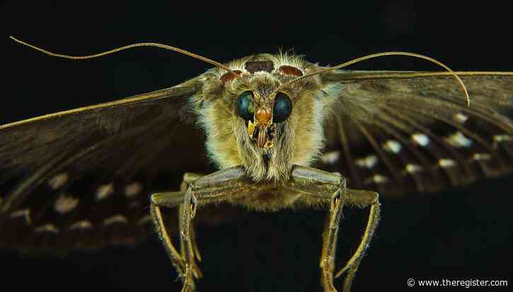 421 bugs in Microsoft's Patch Tuesday release, and the Norks have already attacked one