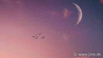 Horoskop heute: Dein Tageshoroskop am 12. August 2026