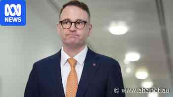 Liberals pour cold water on Bragg's migration comments