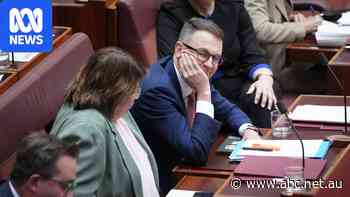 Live: Bragg says he wishes he stopped Morrison-era 'madness'